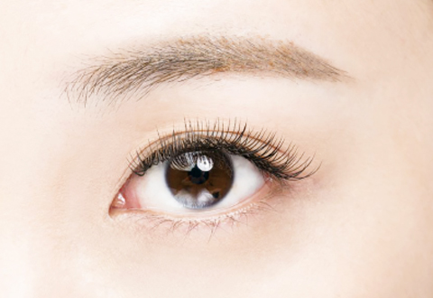 ブラックティント　pyt ピュット 元住吉店